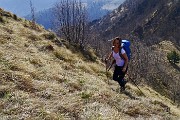 Monte Suchello (1541 m) da Aviatico (1080 m) il 13 aprile 2015  - FOTOGALLERY